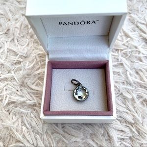NWT: Pandora charm